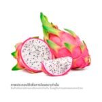 วี อาร์ เฟร็ช แก้วมังกร